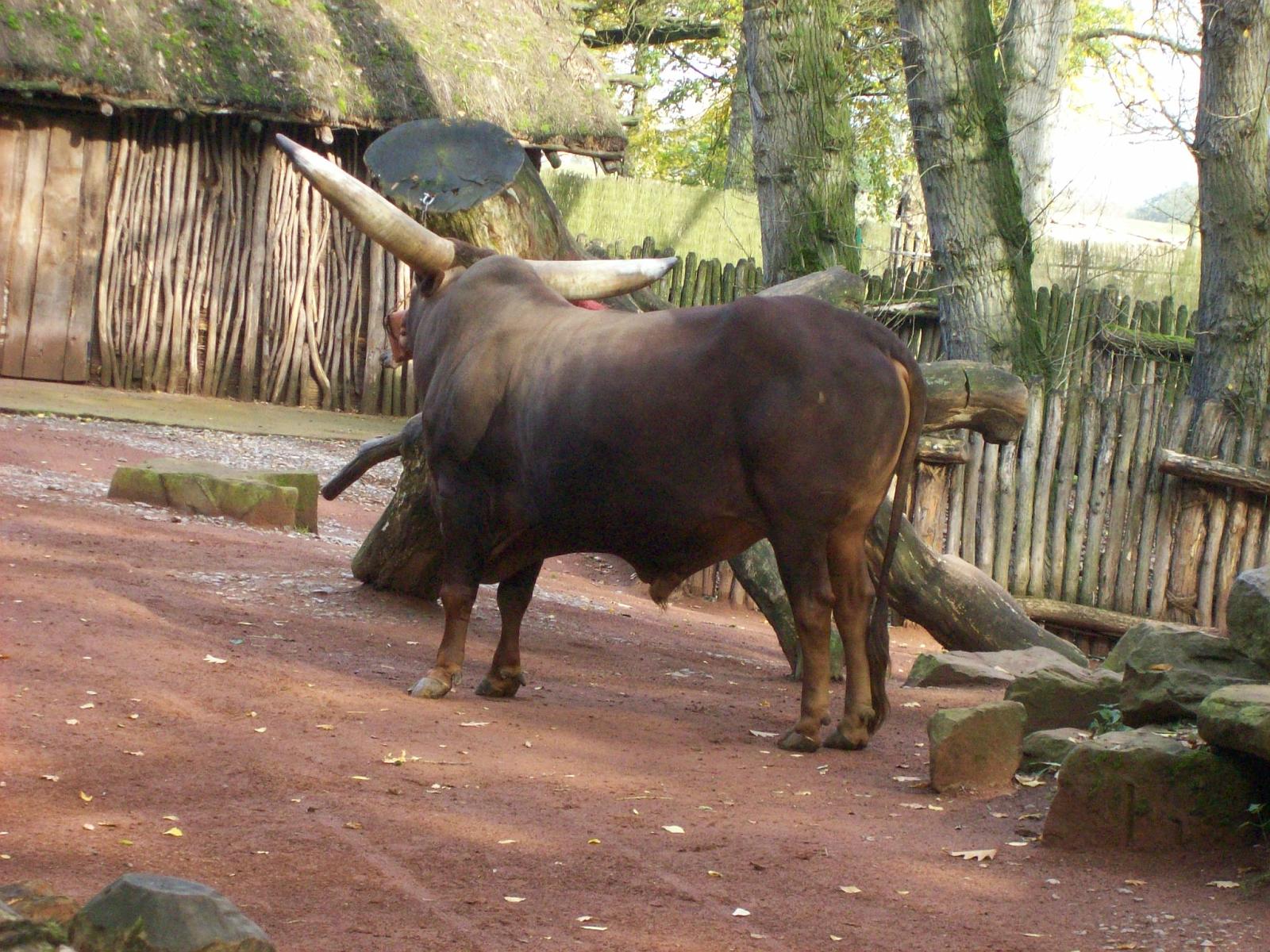 Zoom 18.10.2008-027.jpg